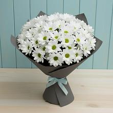 Букет цветов из:  Хризантемы #REPLACE_PRED# Биробиджане